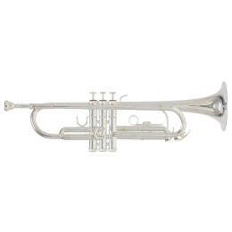 Roy Benson TR-202S Труба Bb