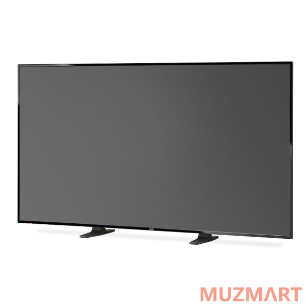 NEC MultiSync E656 Панель