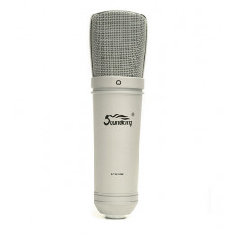 Soundking EC010W Микрофон студийный