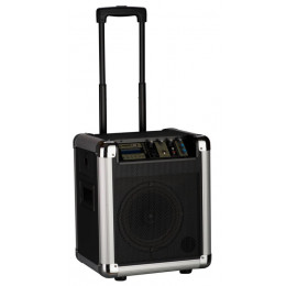 Soundking PA8M Акустическая система с MP3 и микрофоном