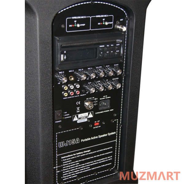 Soundking WJ15A Акустическая система с 2 микрофонами