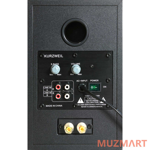 Kurzweil KS-40A Мониторы (пара)