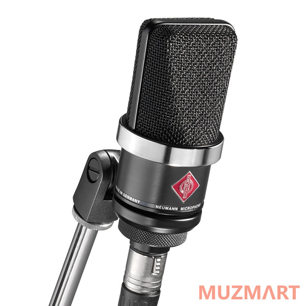 Neumann TLM 102 bk Студийный конденсаторный микрофон