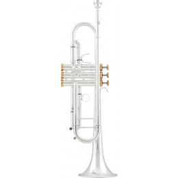 Arnolds & Sons ATR-5200GSG-TERRA Труба Bb студенческая