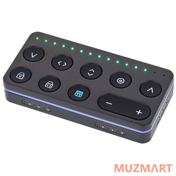 ROLI BLOCKS Touch Block Компактный модуль для работы с Lightpad и Seaboard BLOCK
