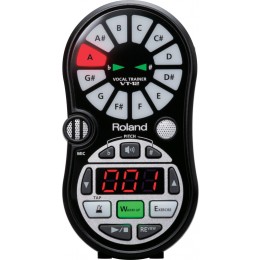 Roland VT-12 Вокальный тренажер