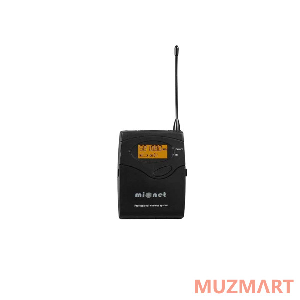 Micnet Dual Head Set Радиосистема с двумя головными микрофонами