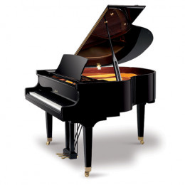 Ritmuller GP-148R1 A112 Рояль