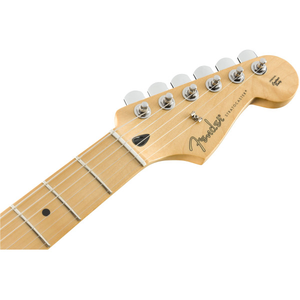 Fender Player Stratocaster MN PWT Электрогитара