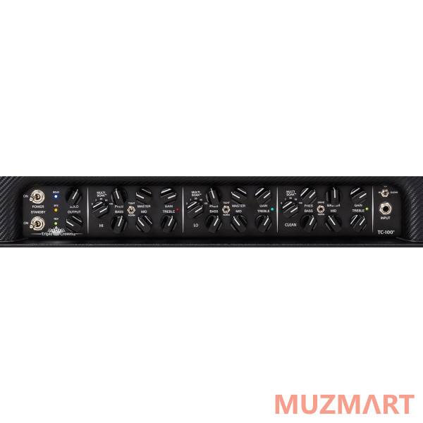 Mesa Boogie TRIPLE CROWN TC-100 HEAD Гитарный ламповый усилитель