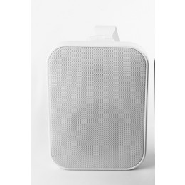 SVS Audiotechnik WSP-60 White Громкоговоритель настенный