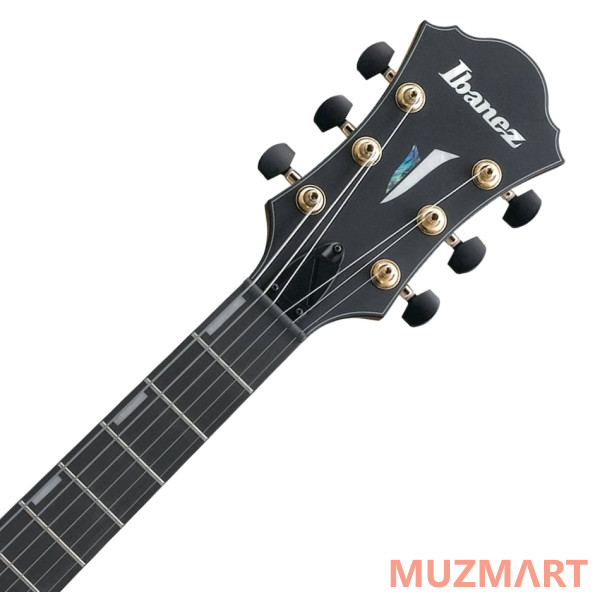 Ibanez AFC95-VLM Полуакустическая гитара