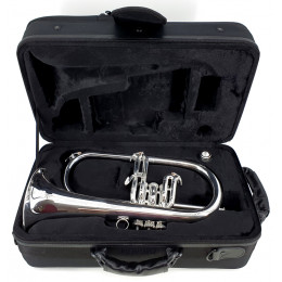 Brasspire BPFG-850S Флюгельгорн Bb