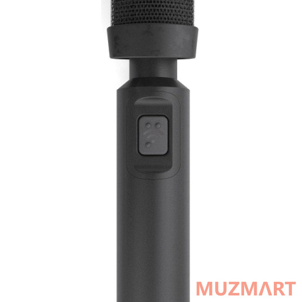 Beyerdynamic Classis RM31 SP инсталляционный микрофон