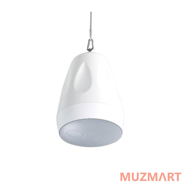 Cloud Electronics CVS-P42TW Подвесной громкоговоритель