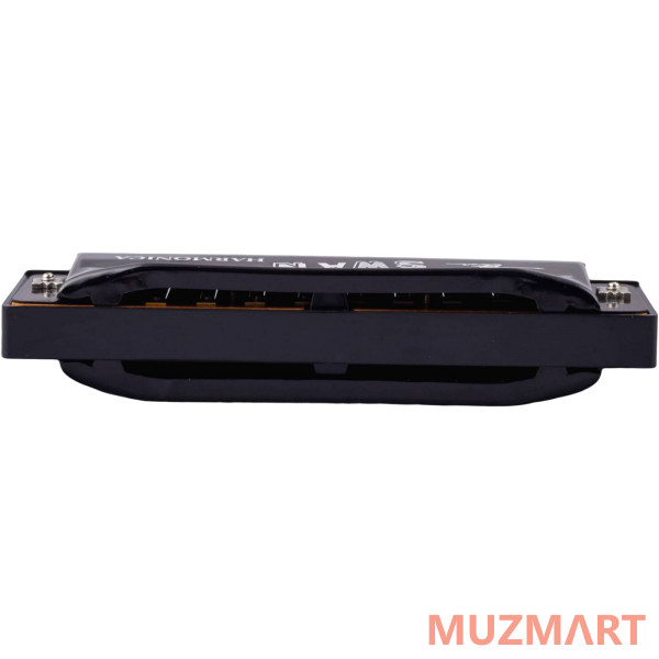 Swan SW1020-4-BK Губная гармоника диатоническая