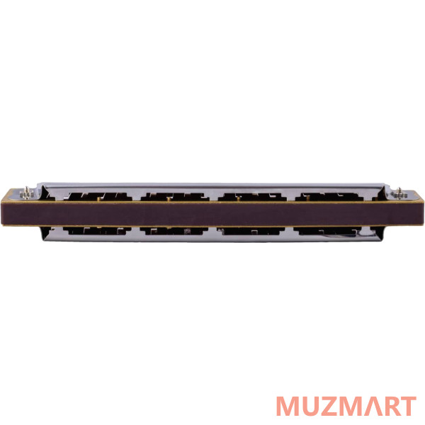 Swan SW20 Губная гармоника тремоло