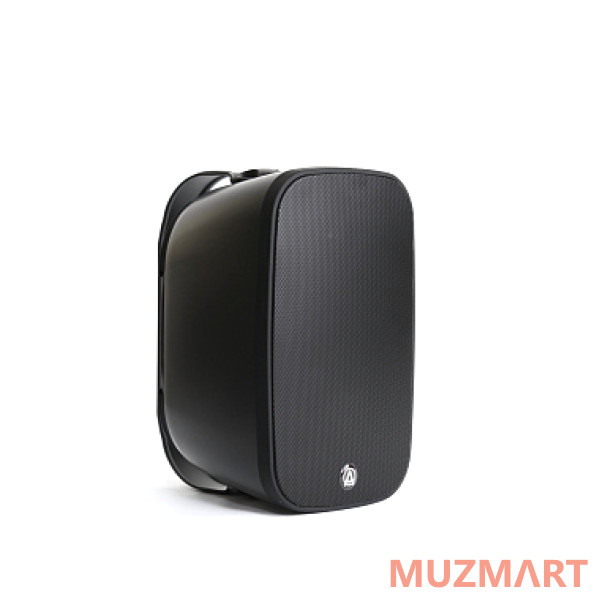 AuraSonics DENSE-5T Трансляционный громкоговоритель