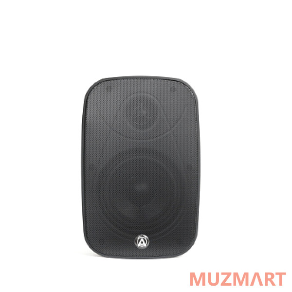AuraSonics DENSE-5T Трансляционный громкоговоритель