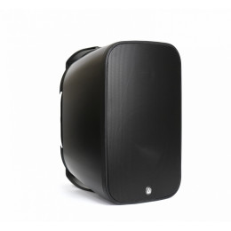 AuraSonics DENSE-8T Трансляционный громкоговоритель