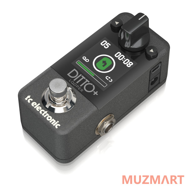 TC Electronic DITTO+ LOOPER Гитарный лупер с цветным дисплеем и внутренней памятью