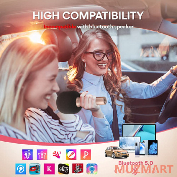Maono MKP100 (champagne gold) Караоке микрофон с bluetooth