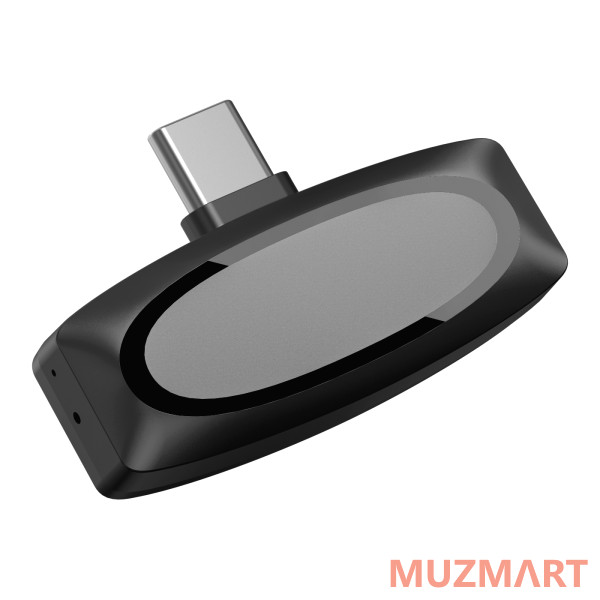 Simple Fly CYA05-A-T Микрофон беспроводной, Type-C