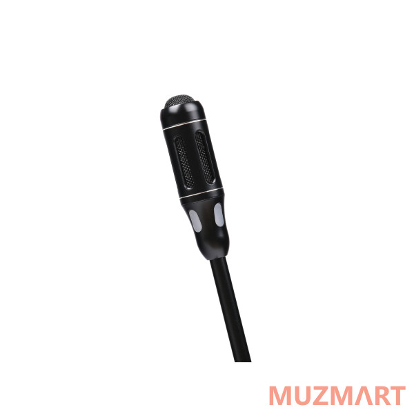 LAudio 4000C-UZ Беспроводная конференц-система, 2 настольных микрофона
