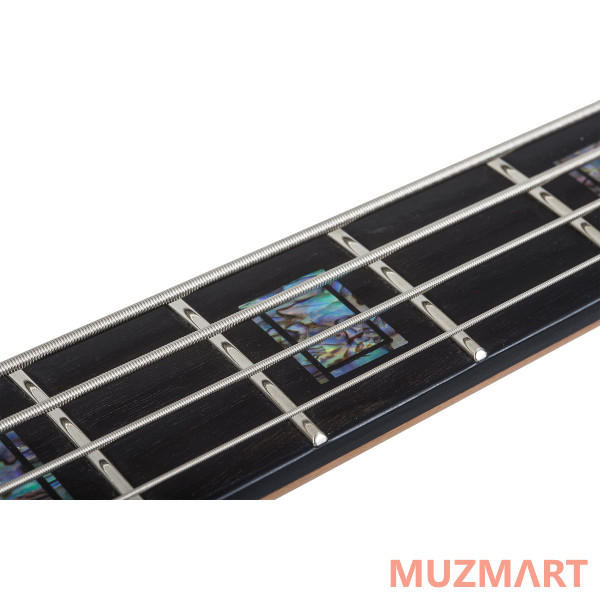 Schecter MODEL-T 4 EXOTIC BLACK LIMBA 4-струнная бас-гитара