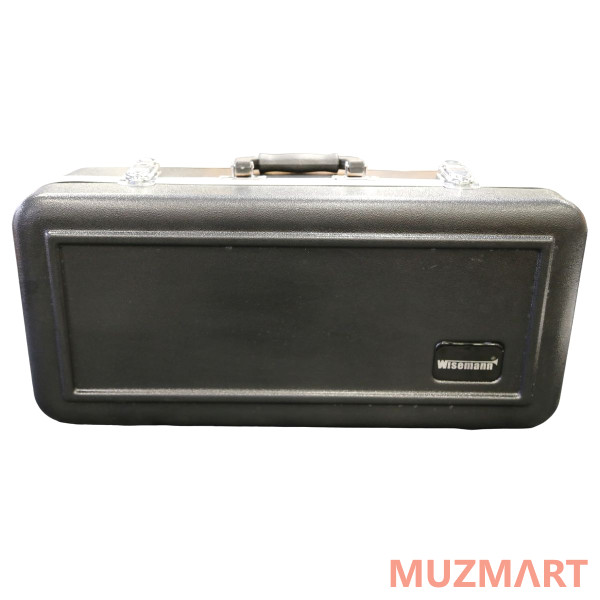 Wisemann ABS Alto Sax CaseWABSASC-1 Кейс-кофр для альт-саксофона
