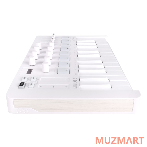 Arturia MiniLAB 3 Alpine White MIDI клавиатура