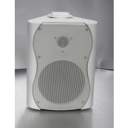 SVS Audiotechnik WS-20 White Громкоговоритель настенный (пара)