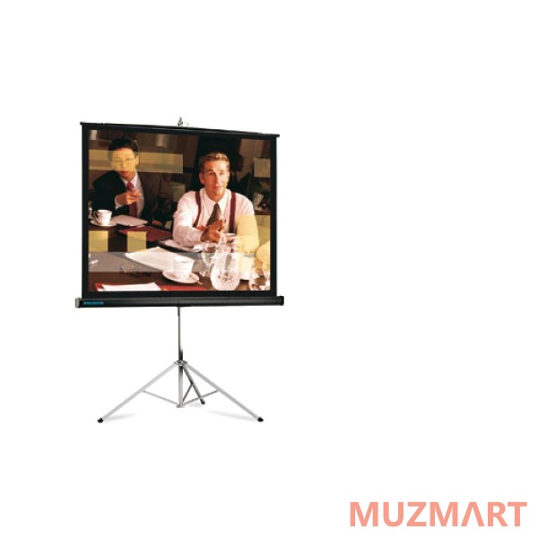 Projecta 10430015 Picture King Matte White Проекционный экран 244x244