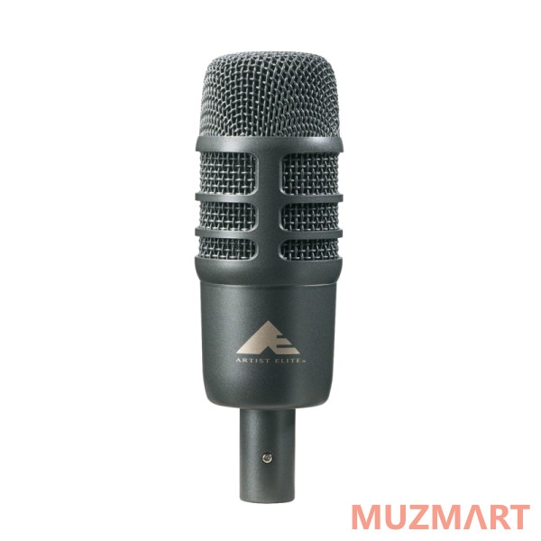 Audio-Technica AE2500 Инструментальный микрофон