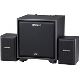 Roland CM-220 Cube Monitor Комплект 2.1