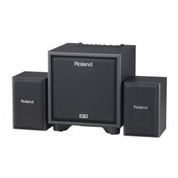 Roland CUBE-MONITOR-110 Мониторная система 2.1