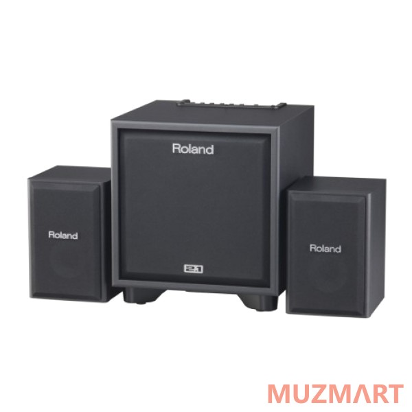 Roland CUBE-MONITOR-110 Мониторная система 2.1