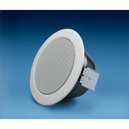 Penton RCS6/TCOAX Потолочный горомкоговоритель