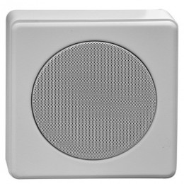 Penton SENTRY6/STC Настенный громкоговоритель