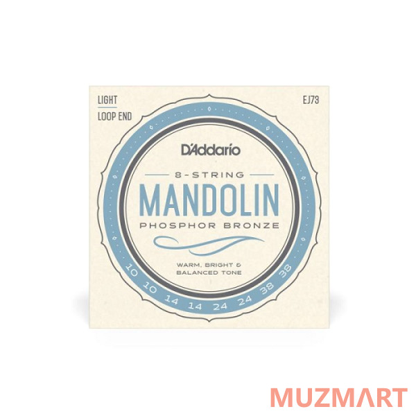 D'Addario EJ73 Струны для мандолины, Medium, 10-38