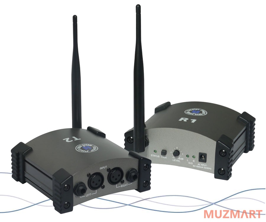 Topp Pro R1 WiFi приемник