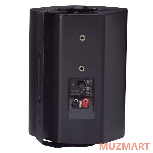 Direct Power Technology DP-75P Настенная акустическая система