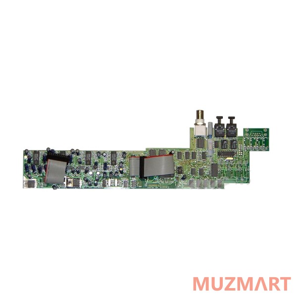 Focusrite 24/96 A/D OPTION FOR ISA220 АЦП опция для ISA220