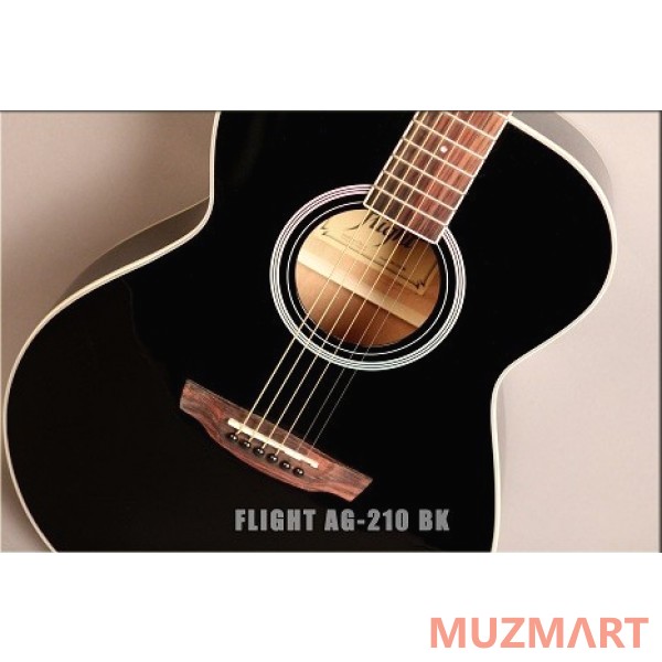 Flight AG-210 BK Акустическая гитара