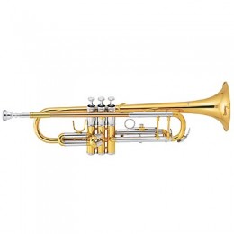 Sebastian STR-430G Труба Bb