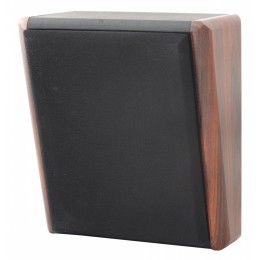 Proaudio SWS-10W Настенный громкоговоритель