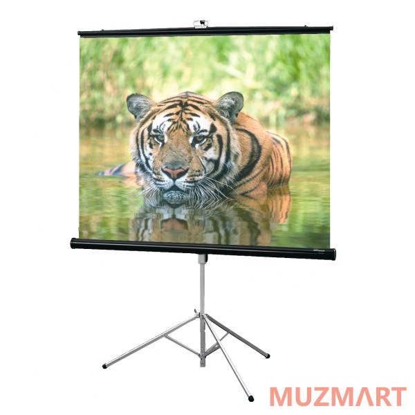 Draper Consul AV (1:1) 40/40" 102*102 XT1000E (MW) Мобильный экран