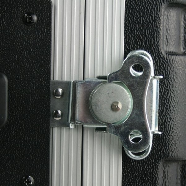 Accu Case ACF-SP/ABS 10U Двухдверный рэковый кейс