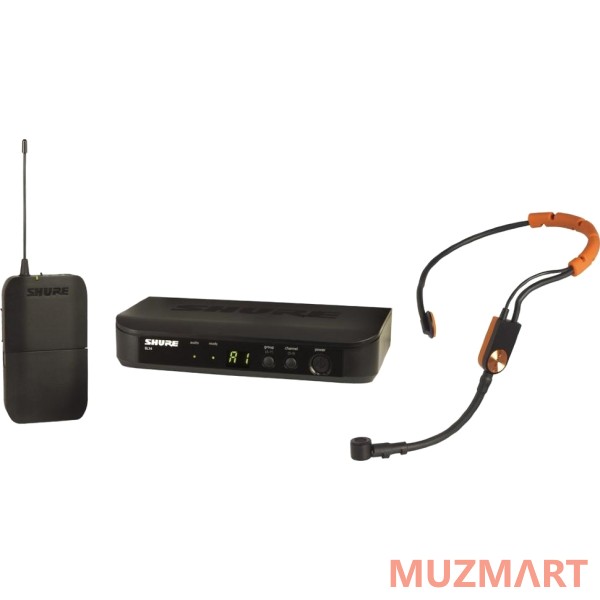 Shure BLX14E/SM31 M17 Радиосистема головная с микрофоном