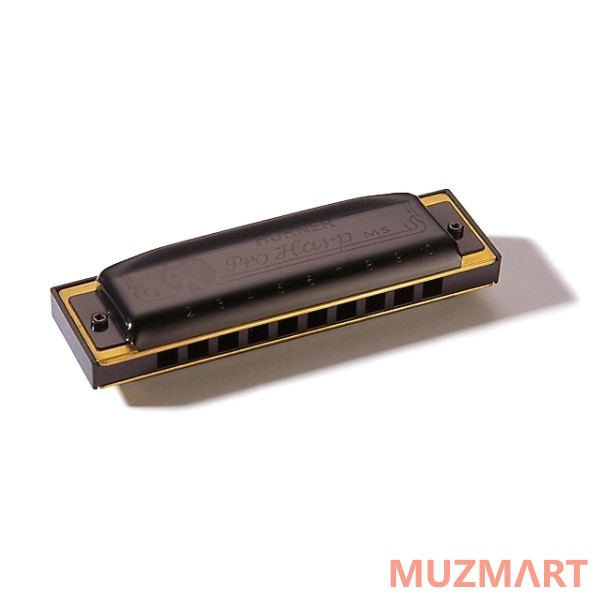 Hohner Pro Harp 562/20 MS C (M564016X) Губная гармоника с уроками